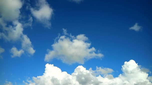 Reiner blauer Himmel und weiße, weiche Haufenwolken im Zeitraffer — Stockvideo