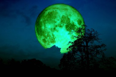 Süper çilekli ay, tarlada ve gece gökyüzünde bulut ve ağaç, NASA tarafından desteklenen bu görüntünün elementleri.