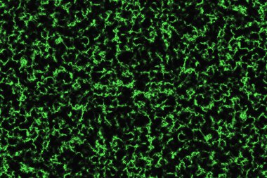 Yeşil radyasyon parıltısı ve koyu mermer lüks iç plan