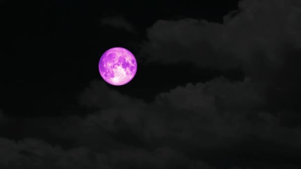Telirózsaszín hold emelkedik az éjszakai égen és szürke felhő halad — Stock videók