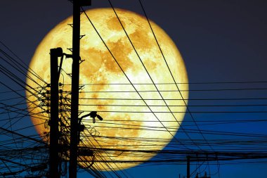 Süper Hasat Kanlı Ay gece gökyüzünde siluet elektrik hatları NASA tarafından döşenmiş bu görüntünün elementleri.