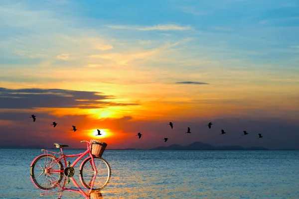 Reflexion Des Fahrrads Auf Dem Wasser Und Sonnenuntergang Auf Dem — Stockfoto
