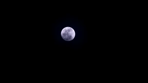 Полная луна поднимается на ночное небо и белое облако движется — стоковое видео
