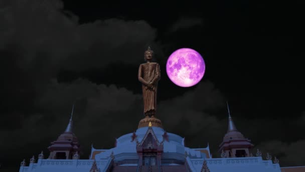 Zoom Apagar la luna rosada en el cielo nocturno y la nube blanca en movimiento pasar atrás buddha de pie — Vídeo de stock