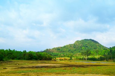 Çiftçilerin hasat sonrası yanması, dağlardaki kauçuk tarlalarının görünümü Tayland 'ın ekonomik mahsulüdür.