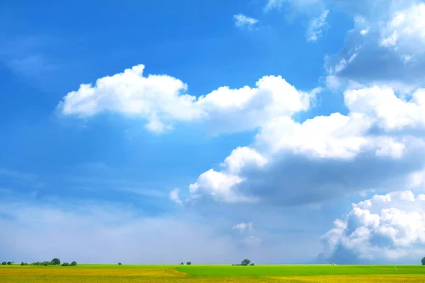 Weicher Nebel Morgen Blauer Himmel Weiße Wolke Landwirtschaft Jasmin Reisfarm — Stockfoto