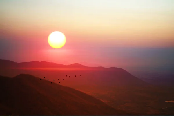 Sunrise Morning Sky Green Mountain Silhouette Bird Flying Light Red — Stock Photo, Image