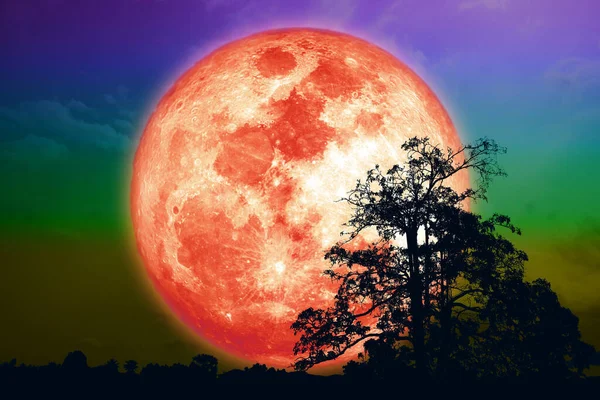 Volle Maïs Bloed Maan Silhouet Boom Nachtelijke Hemel Elementen Van — Stockfoto