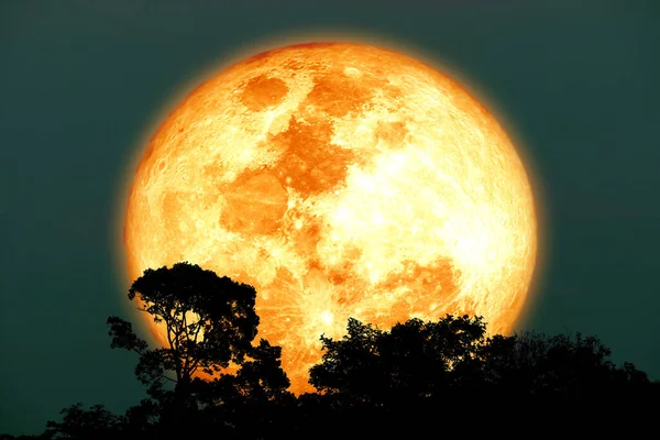 Süper hasat kanlı ay ve gece gökyüzündeki siluet. NASA tarafından desteklenen bu görüntünün elementleri.