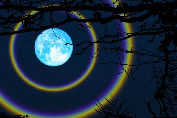 harvest blue moon double halo branch trees in the night sky, Elements of this image furnished by NASA