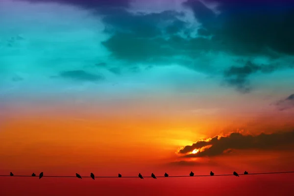 Sunset Back Evening Dark Orange Cloud Colorful Sky Birds Hang — Stok Foto
