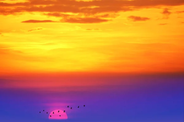 sunset back on the evening light colorful cloud on the sky and birds flying to home