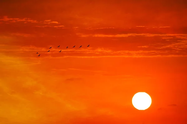 Coucher Soleil Sur Ciel Rouge Orangé Soir Nuage Sombre Dix — Photo