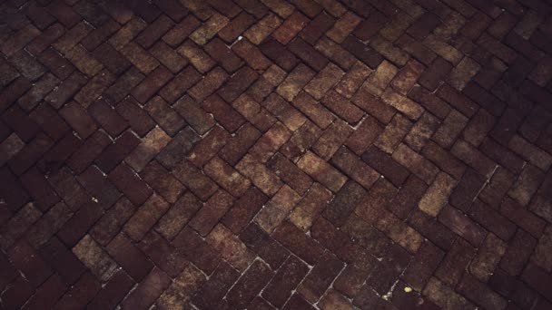 4K regndroppe till forntida av mörkt och ljust rött ton tegel golv trottoaren stenar och liten våg på ytan — Stockvideo