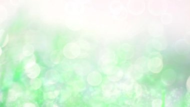 Taze yosun beyazı parıltılı, soyut bulanık yapraklı bahçe çiçekleri.