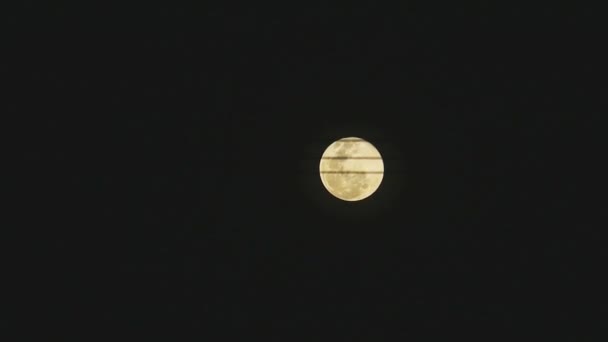 Fullek måne flyttar passera elnätet på klar natthimmel — Stockvideo
