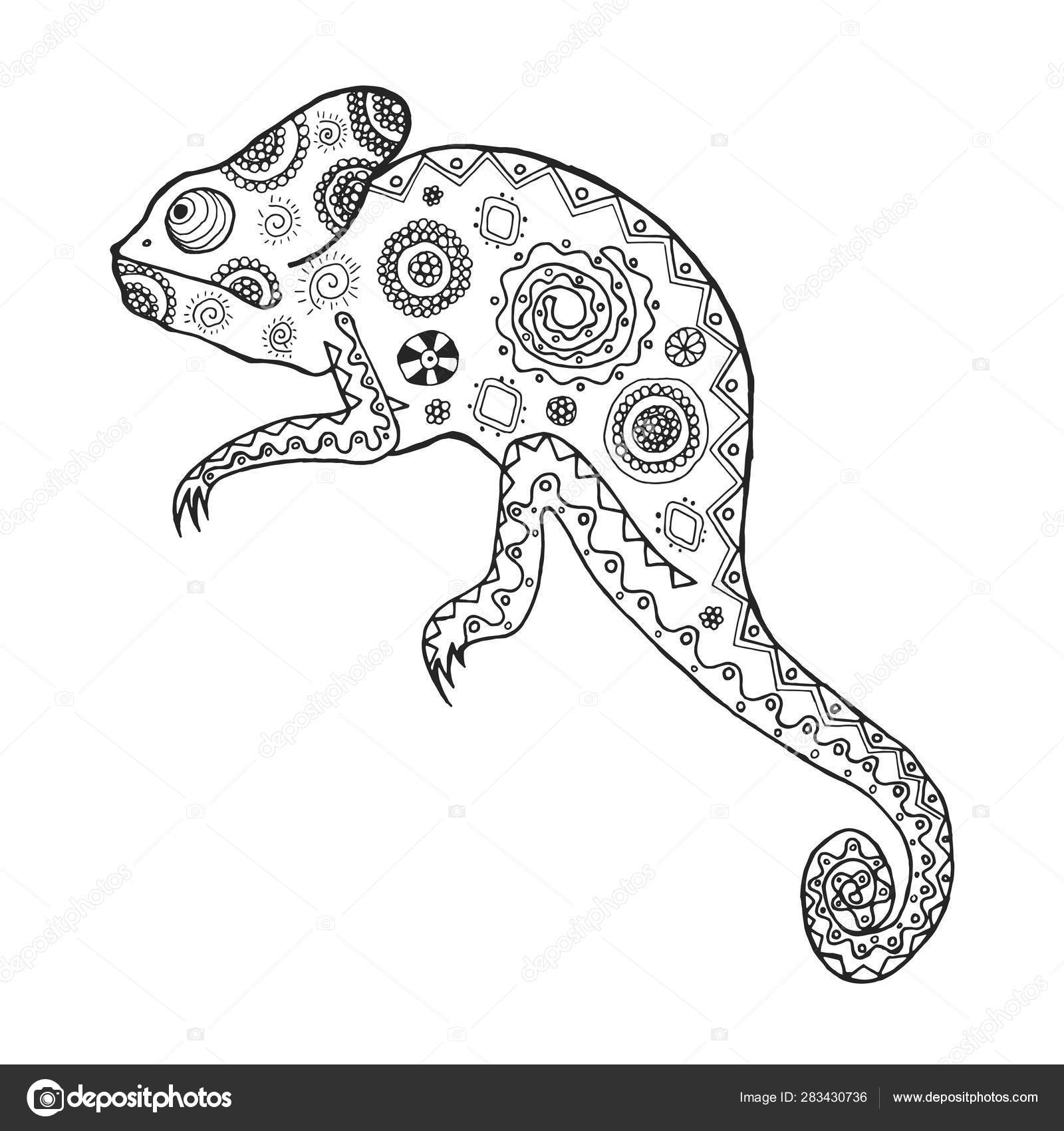Stock Art Drawing of an Indian Chameleon