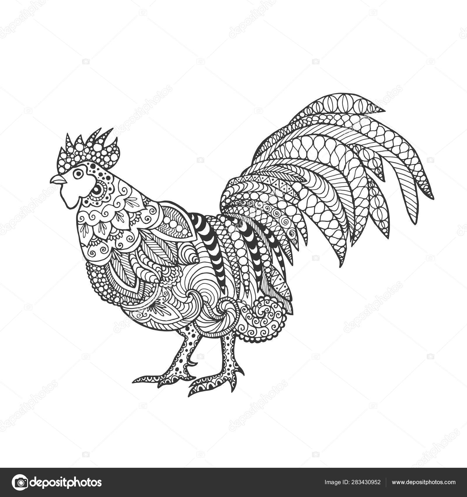 Zentangle 风格化公鸡图库矢量图©Platonbaton222.gmail.com