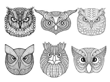 Baykuş kafaları seti