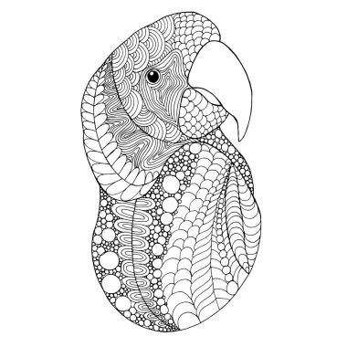 Zentangle stilize kuş kafası