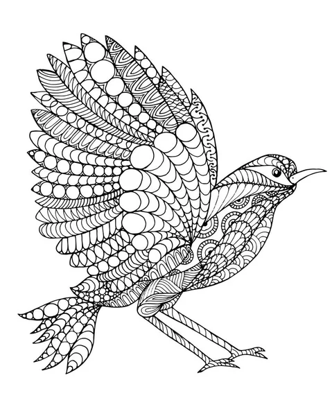 Oiseaux fantastiques stylisés Zentangle . — Image vectorielle