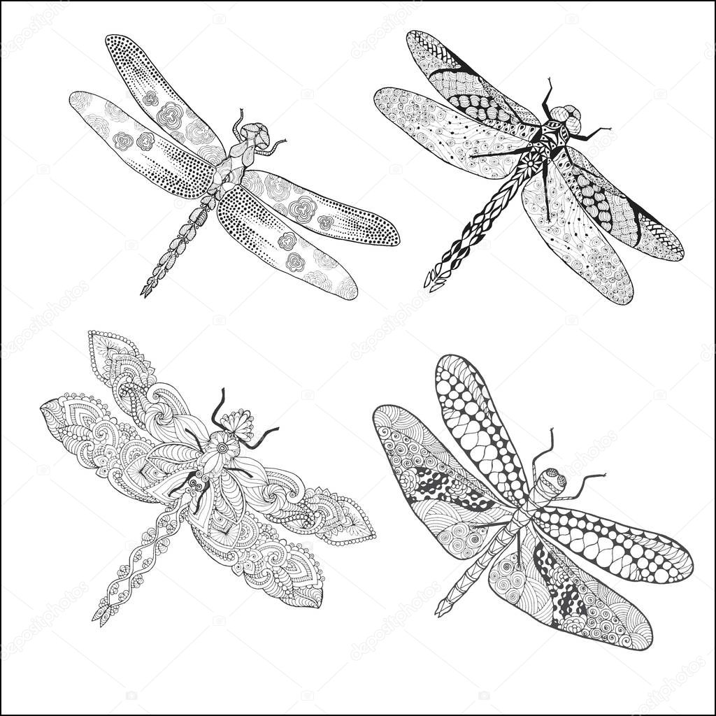 Set of different dragonflys.