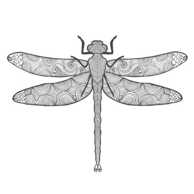 Yusufçuk. Hayvan. Elle çizilmiş doodle böcek. 