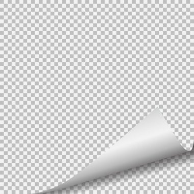 Sayfa curl boş kağıt üzerine gölge ile.