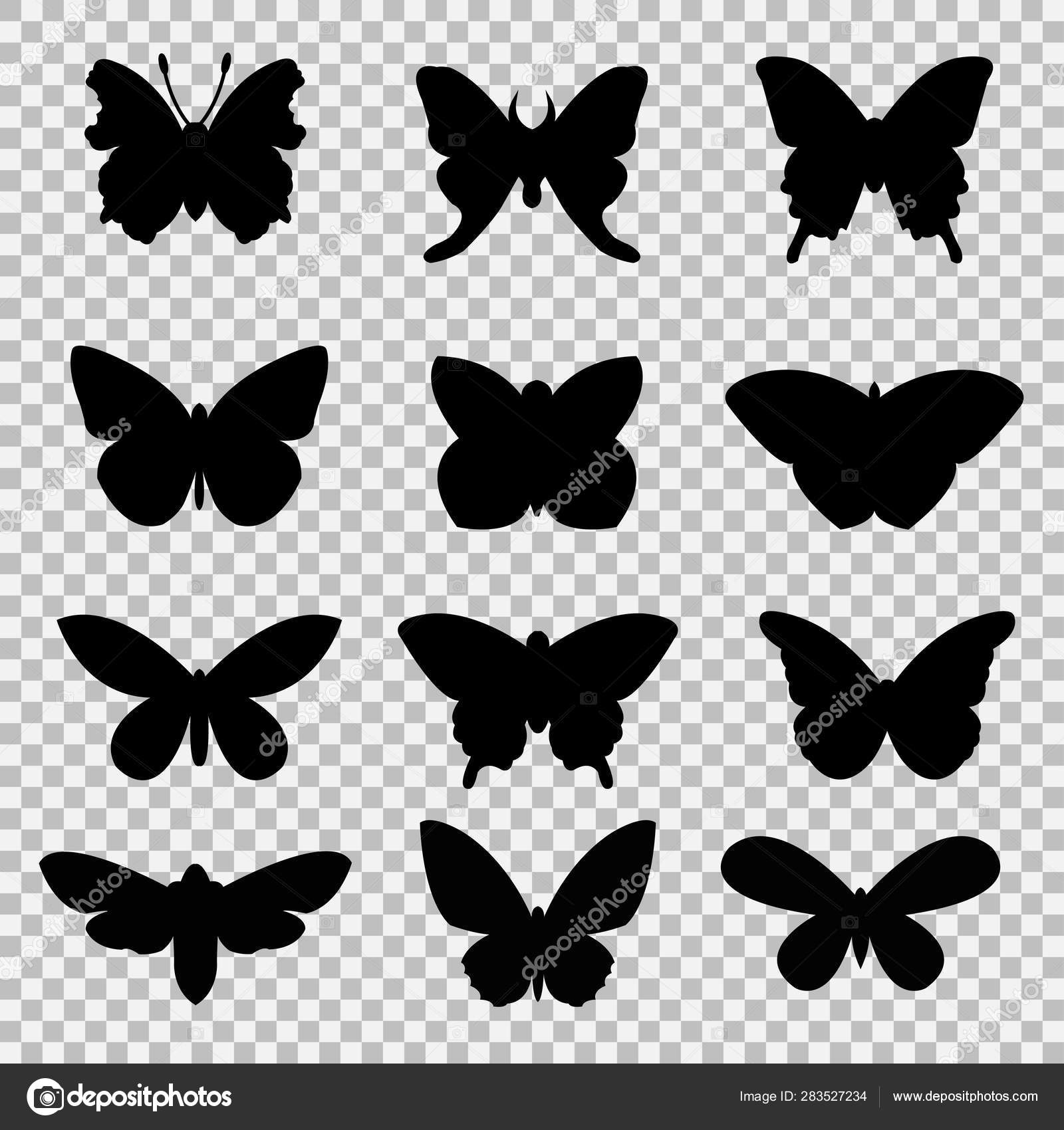 黑色蝴蝶设置在透明背景图库矢量图©Platonbaton222.gmail.com 283527234