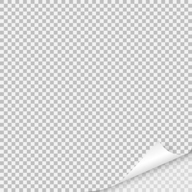 Sayfa curl boş kağıt üzerine gölge ile.