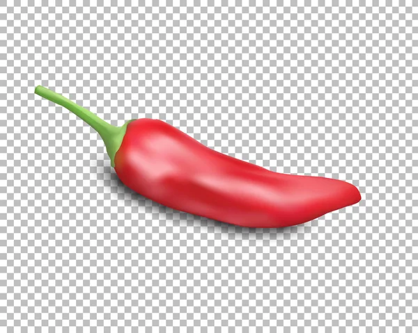 Red hot natural chili pepper pod realistic image with shadow vector illustration. — Stock Vector