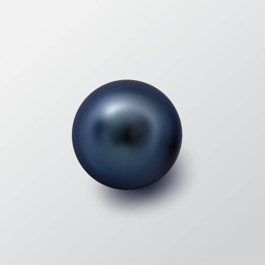 Güzel parlak deniz inci