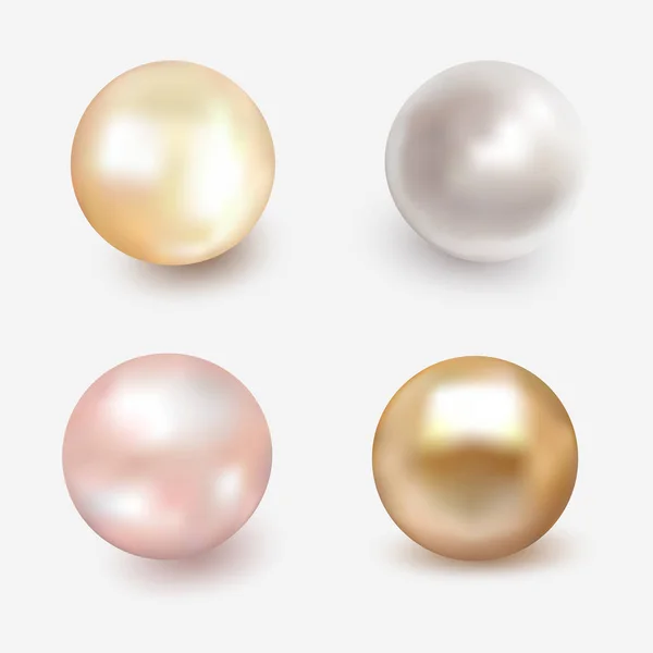 Set of beautiful shiny sea pearl — Stock Vector