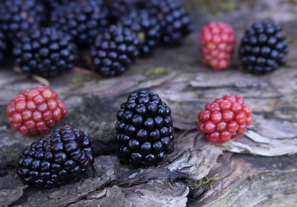 Benefits Of Blackberries For Hair And Health The fruit is deep purple in color with smooth, fragile skin. Available in plenty during mid-autumn. Can be eaten fresh or used in cooking.