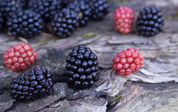 Benefits Blackberries Hair Health Fruit Deep Purple Color Smooth Fragile — Stock Photo, Image