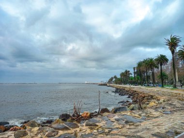 Atlantik Okyanusuna Yürümek 