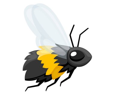 Arı Illustration. Uçan arı tatlım. Sevimli karakter karikatür tarzı tasarımda. Beyaz arka plan üzerinde izole vektör çizim.