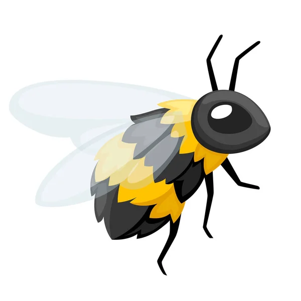 蜜蜂的例证 蜂蜜飞蜂 卡通风格的可爱人物设计 在白色背景上隔离的矢量插图 — 图库矢量图片