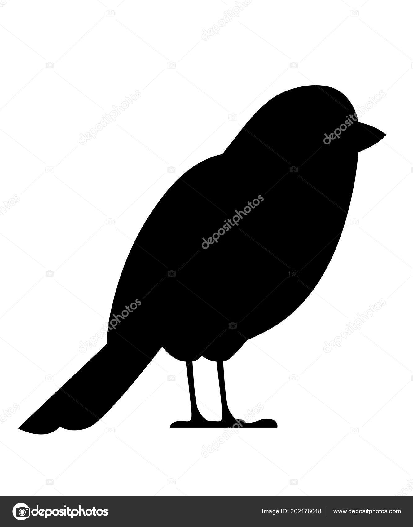 Silhouette Noire Oiseau Moineau Création Personnages Dessin