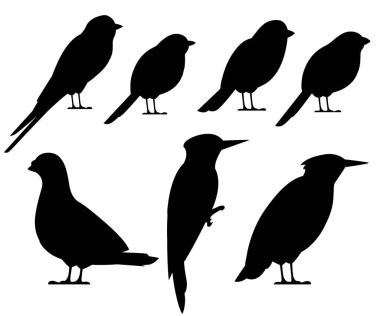 Kuş siyah siluet koleksiyonu. Güvercin, serçe, baştankara, kırlangıç, ağaçkakan, Starling, şakrak kuşu. Düz kuş simgesi. Beyaz arka plan üzerinde izole vektör çizim.