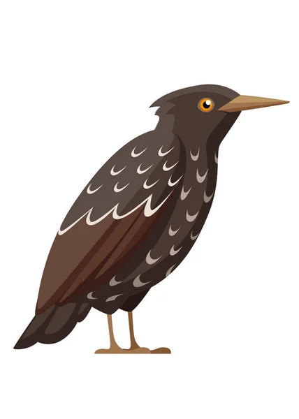 Pájaro Starling Diseño Plano Personajes Dibujos Animados Icono Pájaro Colorido — Vector de stock