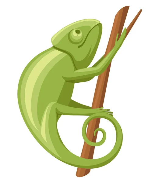 Cartoon Chameleon Climb Branch Small Green Lizard Chameleon Logo Design — Stock Vector