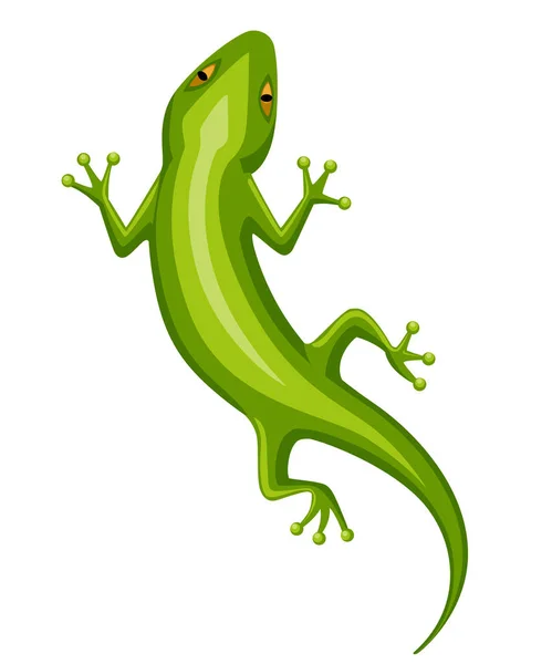 Gecko Stripfiguur Kleine Groene Hagedis Gecko Logo Ontwerp Platte Pictogram — Stockvector