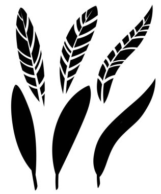 Siyah siluet. Tüyler kümesi. Siyah kuş tüyü. Düz simgesi toplama. İllüstrasyon izole beyaz arka plan üzerinde.