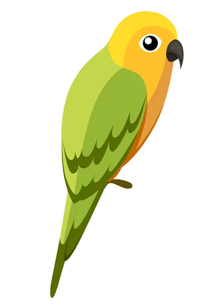 Зелёный Попугай Попугай Ветке Плакатов Детские Книжки Иллюстрирующие Тропический Птичий — стоковый вектор