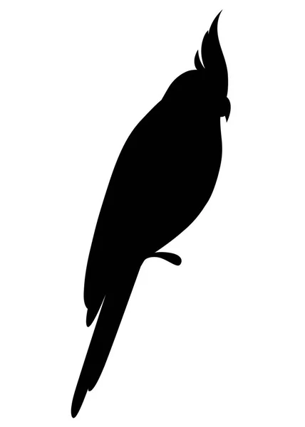 Czarne Sylwetki Ptak Papuga Kakadu Papugi Gałęzi Plakaty Dzieci Książek — Wektor stockowy