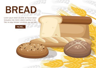 Grup fırın ekmek. Kepekli ekmek, Fransız baget, ciabatta, tost ekmeği. Konsept tasarımı ekmek için. Çavdar beyaz zemin üzerine düz vektör çizim. Tasarım için Web sitesi veya reklam.