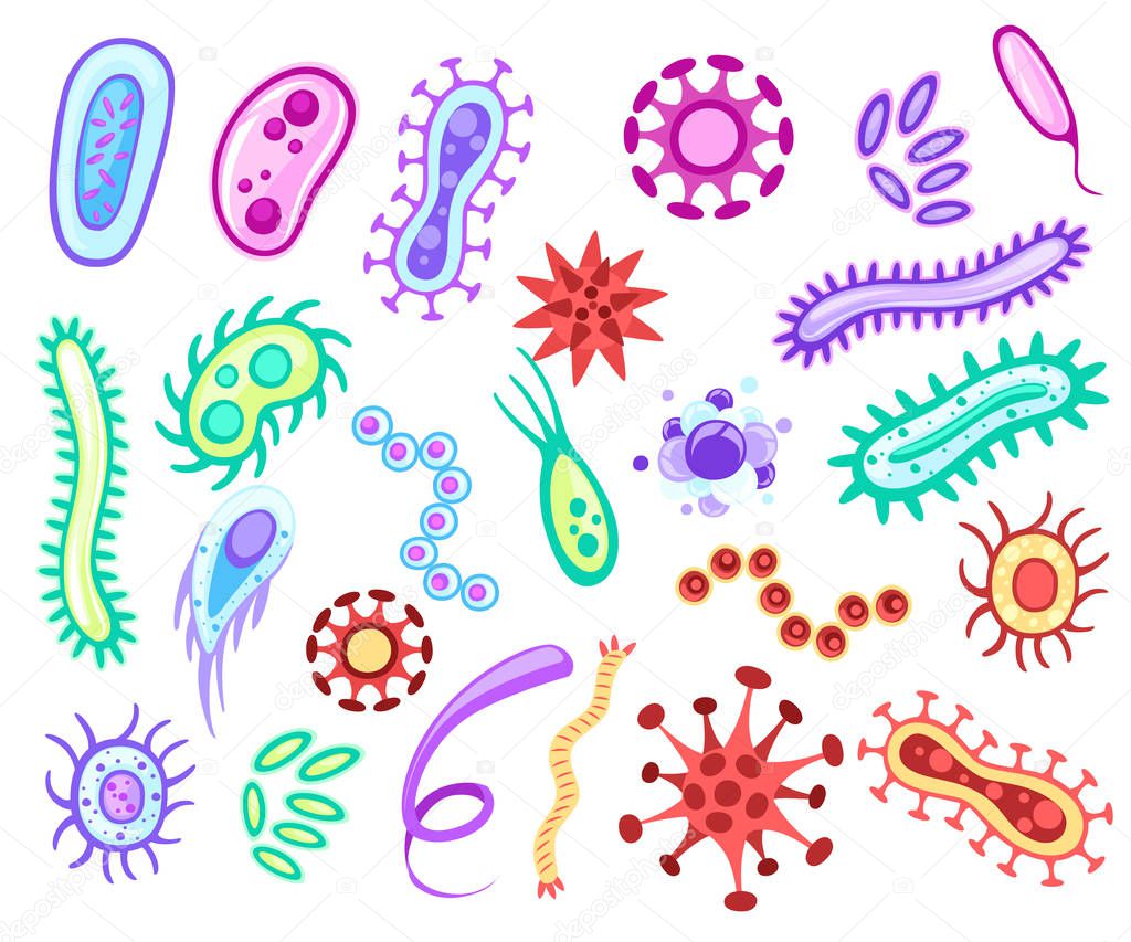 Bacteria and viruses. Colorful microorganisms collections. Flat vector bacteria, viruses, fungi, protozoa. Vector cartoon style illustration isolated on white background.