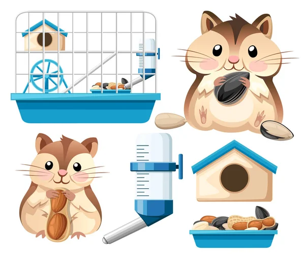 Hamster simgesi toplama. Şirin hamster sit ve ayçiçeği tohumu, holding ve fındık. Hamster kafes, tekerlek ve otomatik içici. Çizgi film karakter tasarımı. Beyaz arka plan üzerinde düz vektör çizim.