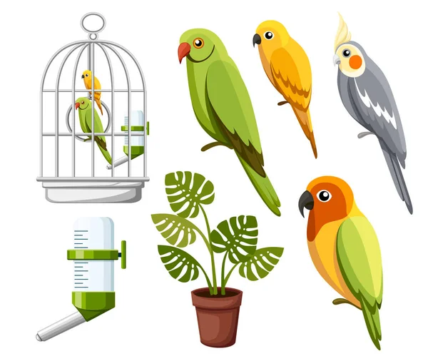 Ensemble Perroquets Cage Avec Oiseaux Buveur Eau Pot Fleurs Icônes — Image vectorielle